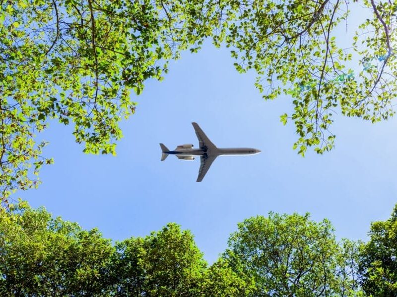 A,Plane,Flying,Over,A,Forest,Treetops,